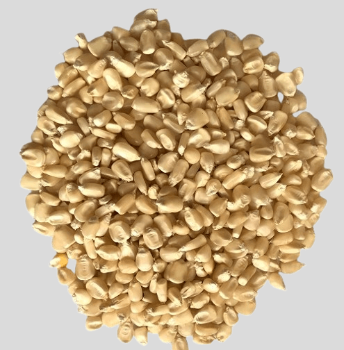 Corn