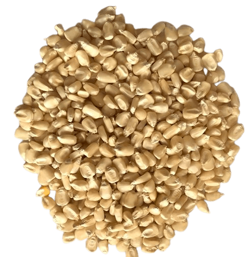 Corn
