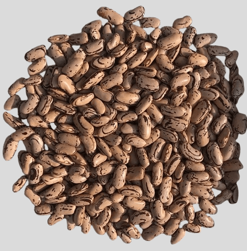 Dark Speckled Kidney Beans