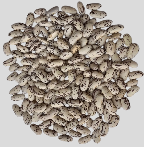 Red Pigeons Peas