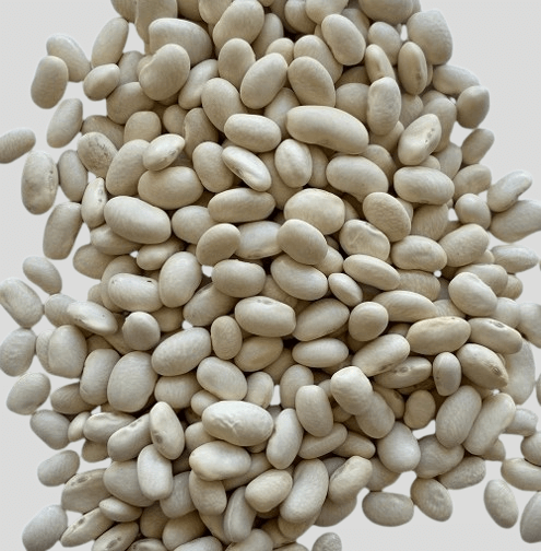 Navy beans (White beans)