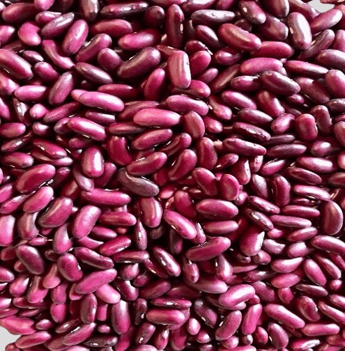 Red Kidney Beans