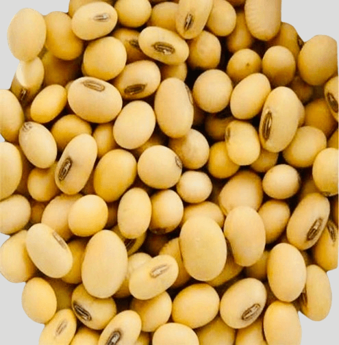 Soybeans