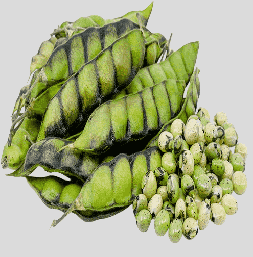 Pigeon Peas